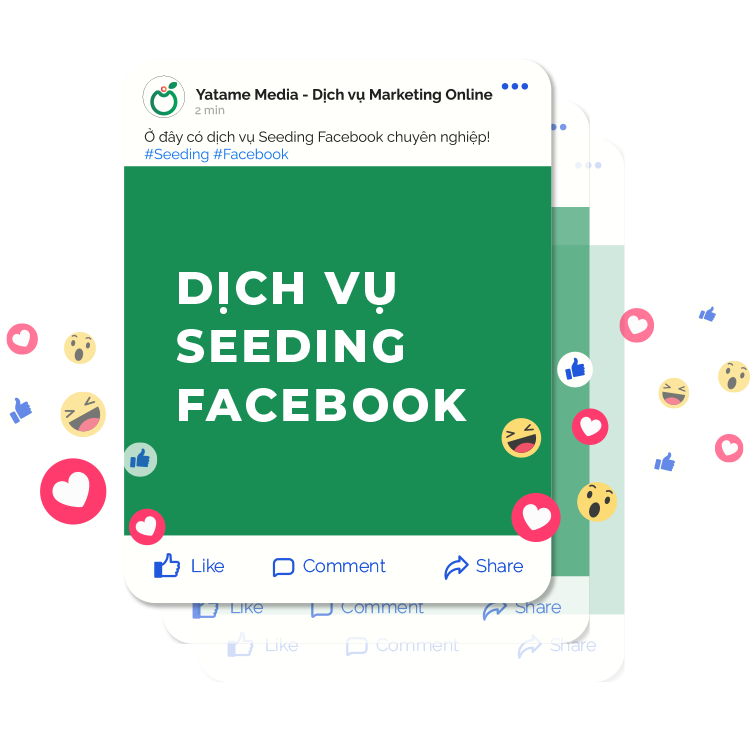 tăng like comment facebook, Dịch Vụ Seeding Facebook