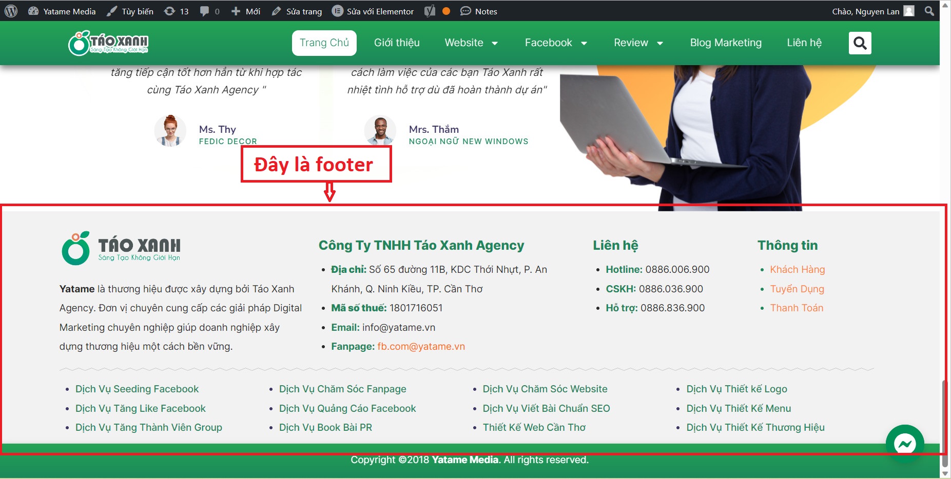 chỉnh footer
